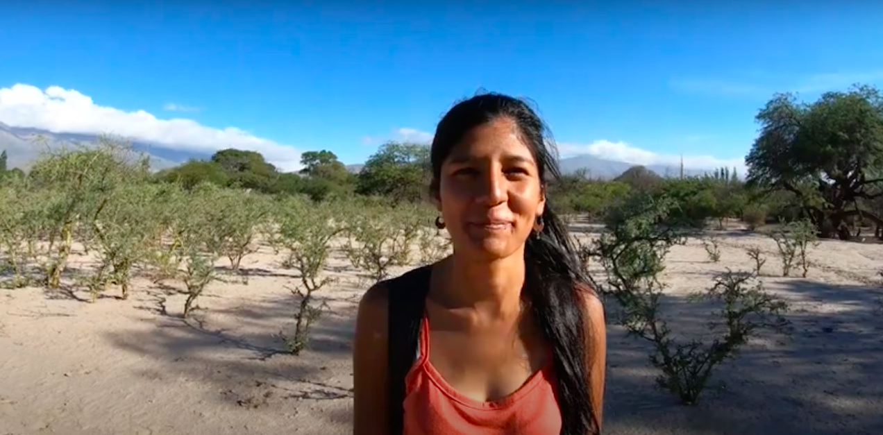 Video] Amaicha del Valle: una comunidad que resiste al extractivismo con su  cultura ancestral - Agencia Presentes