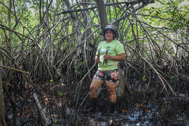 Blanqui García, la pescadora que junto a su comunidad recuperó un manglar  en extinción - Agencia Presentes