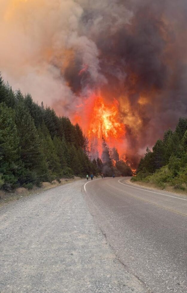 1000475104incendios patagonia 2026
