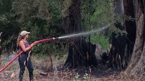 20260203-RocíoBrigadistaPatagonia