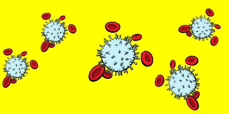 VIH virus
